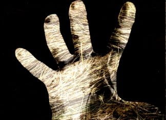 Don’t grasp at straws in your quest for viral