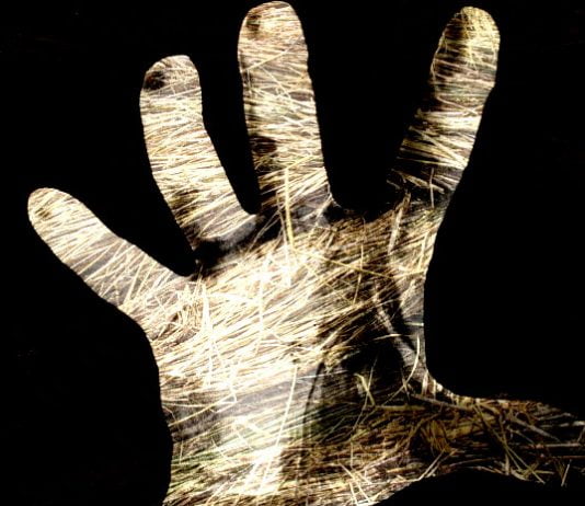 Don’t grasp at straws in your quest for viral