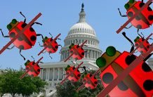 Do Not Track: Pro-Business or Anti-Business?