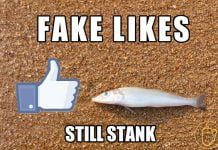 Something Fishy With Facebook Ads