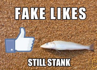 Something Fishy With Facebook Ads