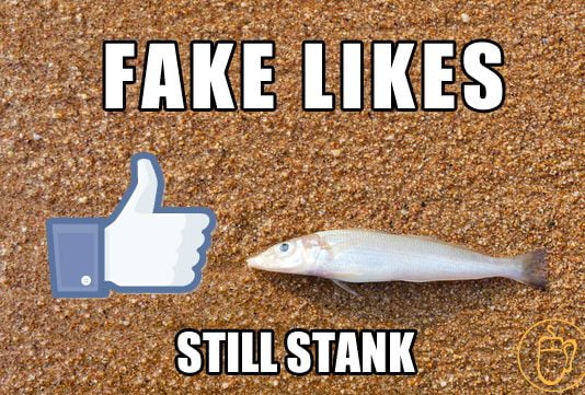 Something Fishy With Facebook Ads