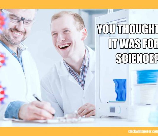 Reaffirming the Goals of the Internet and the Web Goals of the Internet