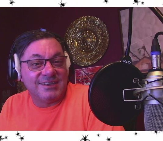 Live Alongside Spiders because Spiders Are Cool spiders are cool